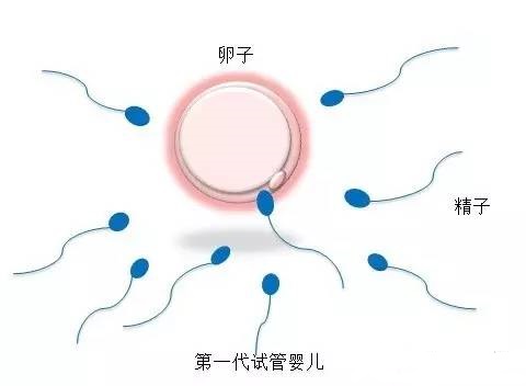代生生男孩代怀中介生殖医学中心